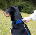 Bild in Galerie-Betrachter laden, Taktisches Halsband mit Griff