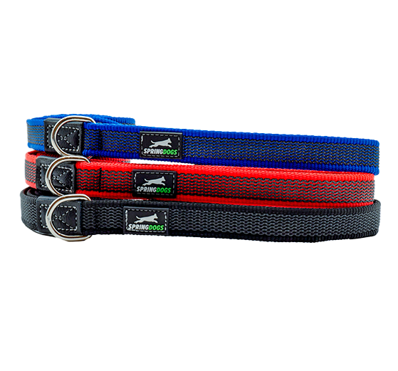 Halsbänder & Leinen